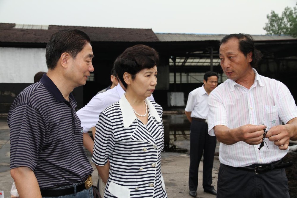 南京市人大常委会党组副书记、副主任许慧玲莅临明珠肥料考察调研